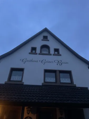 Bild von Laura Scherzer