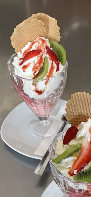 Cafe Fontana Horsching