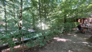 Stiebarlimbach