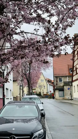 Bild von undefined