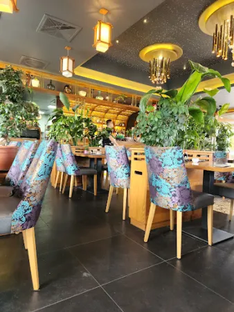 Bild von Cosy Fine Asian Cuisine & Sushi Bar