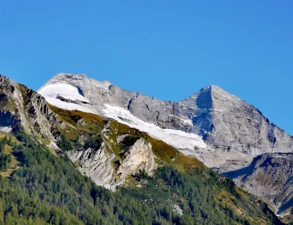 Bild von Gasthaus Olpererblick