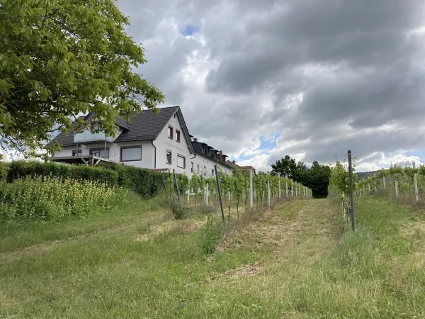 Bild von undefined