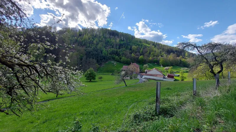 Bild von undefined