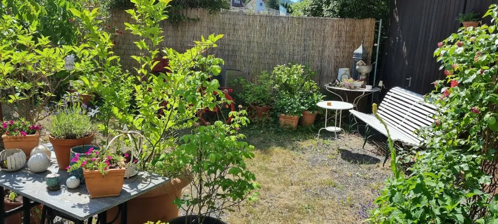Bild von undefined