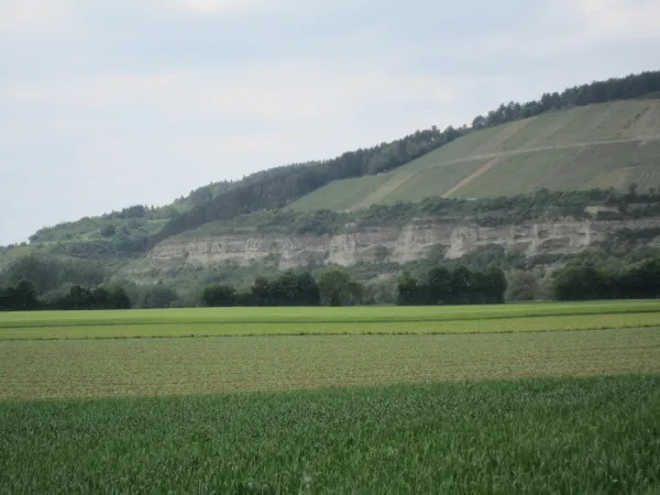 Bild von undefined
