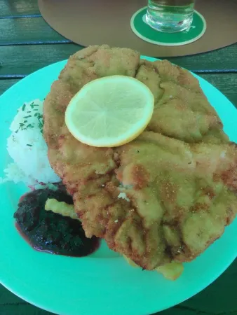 Bild von HERMANN Koala