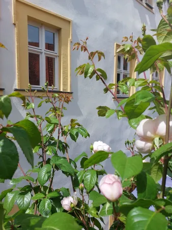 Bild von undefined