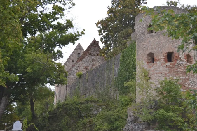 Bild von undefined