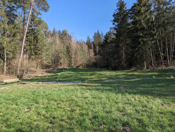 Bild von Sascha Lutz