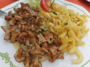 Gasthof Schwarzer Adler