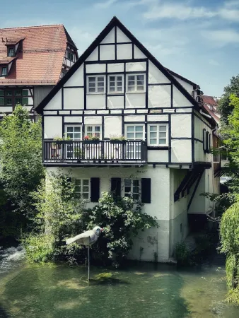 Bild von undefined