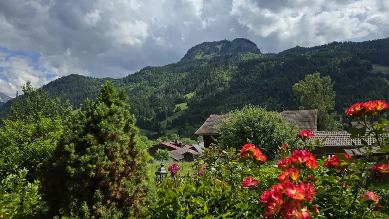Bild von undefined