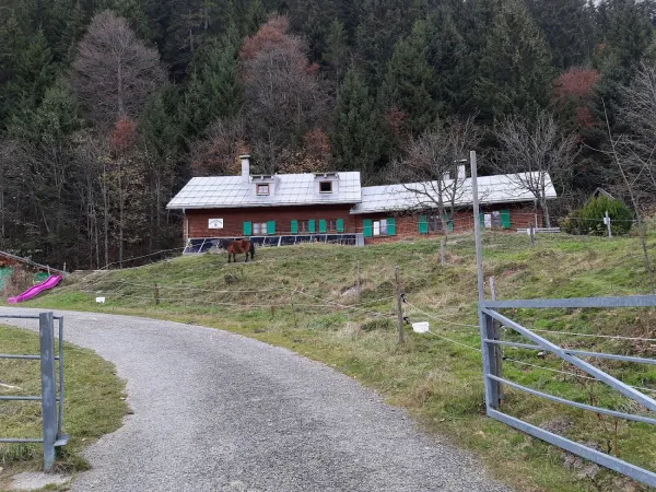 Bild von undefined