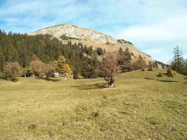 Bild von undefined