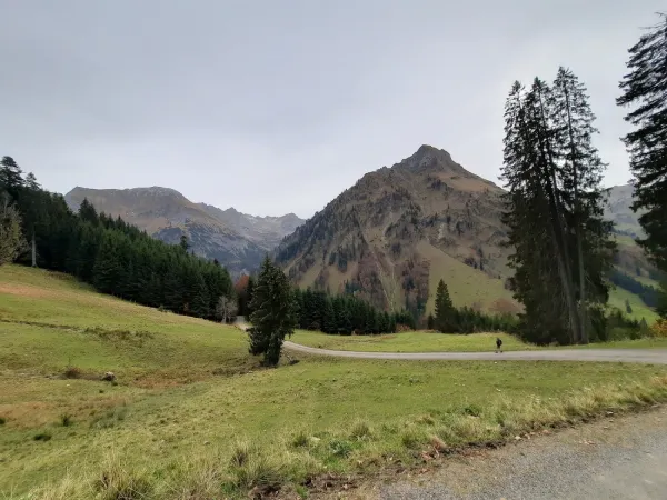 Bild von undefined
