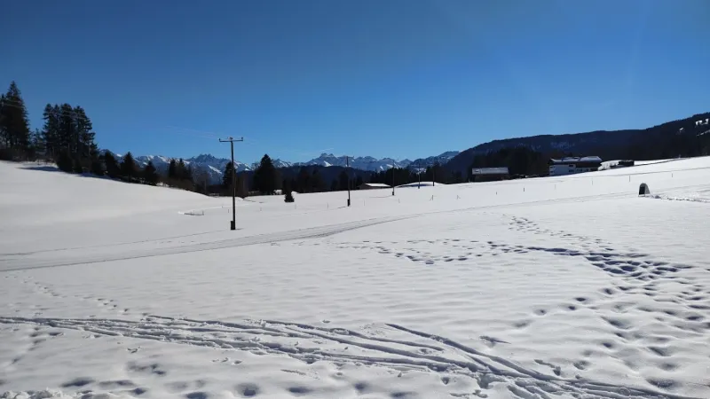 Bild von undefined