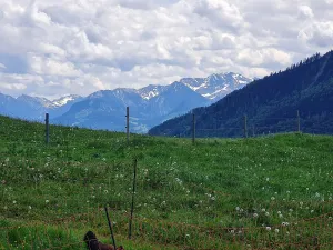 Juget-Alpe