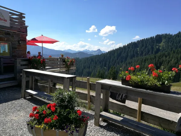 Bild von undefined