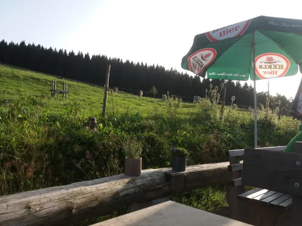 Bild von undefined