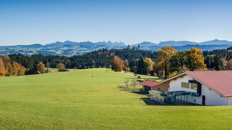 Bild von undefined