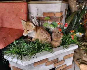 Bistro Tokay