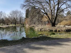 Biergarten im Luitpold Park