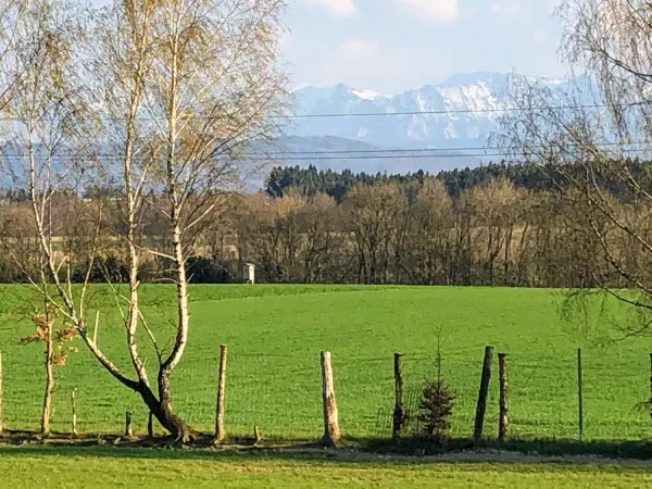 Bild von Mathias Martin