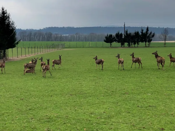 Bild von Mathias Martin