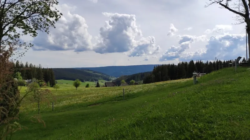 Bild von undefined