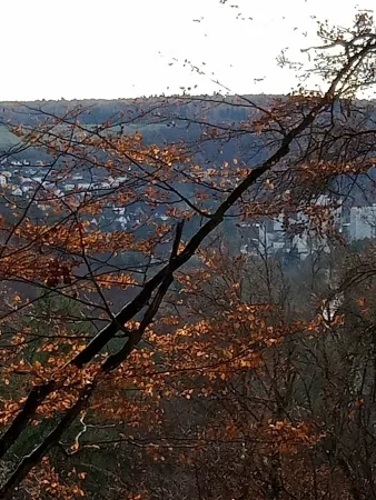 Bild von undefined