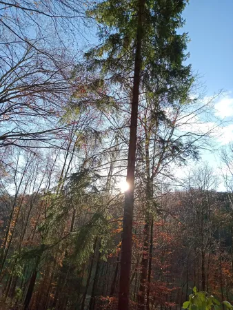 Bild von undefined