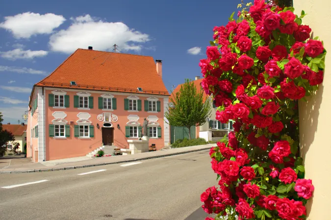 Bild von undefined
