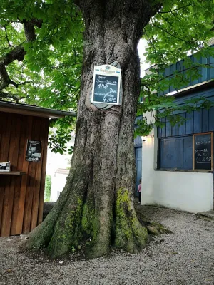 Kastanienbiergarten