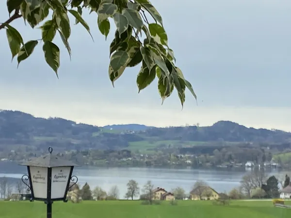 Bild von Wolfgang Praxl