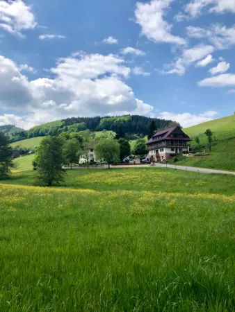 Bild von undefined