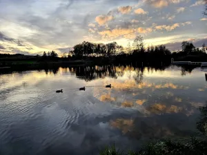 Königseggsee Bistro SeeZeit