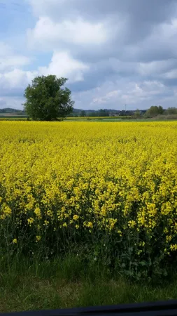 Bild von undefined