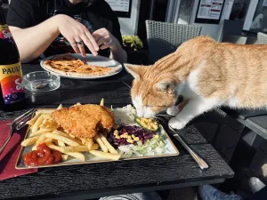 Kebap Freunde Aulendorf