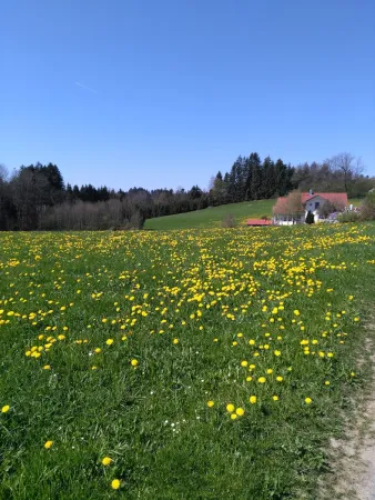 Bild von undefined