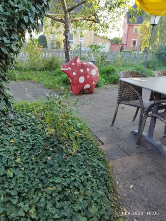 Bild von undefined