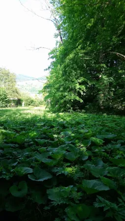 Bild von ATR