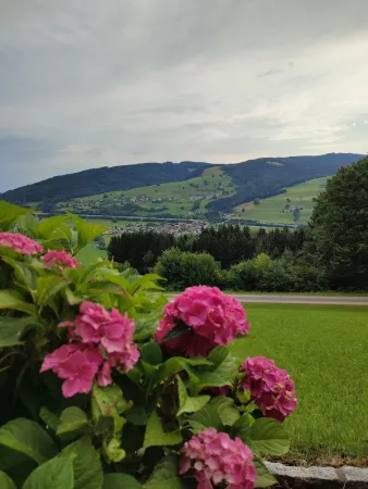 Bild von Waltraud Frais