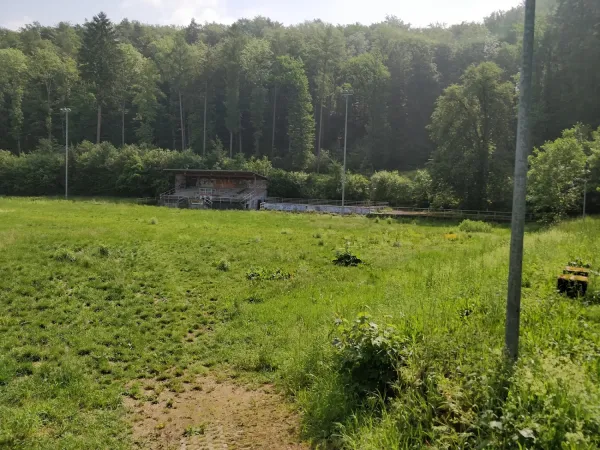 Bild von undefined