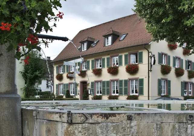 Bild von undefined