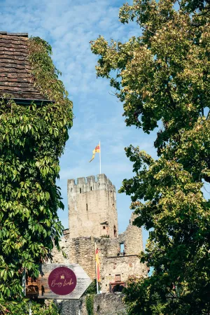 Bild von undefined