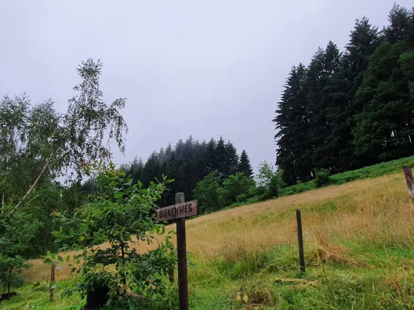 Bild von undefined