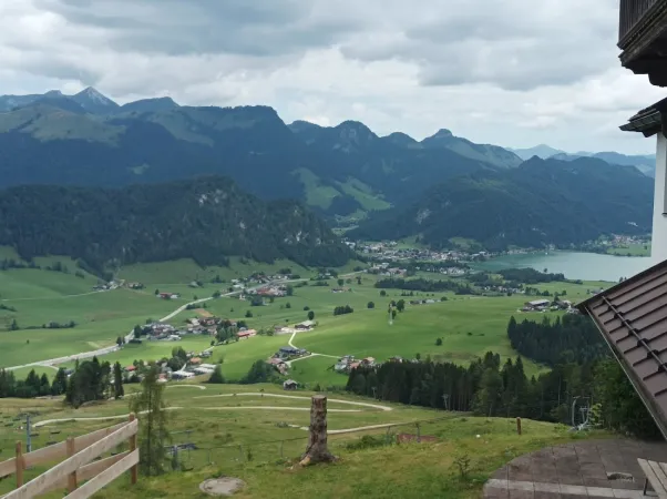 Bild von Tine