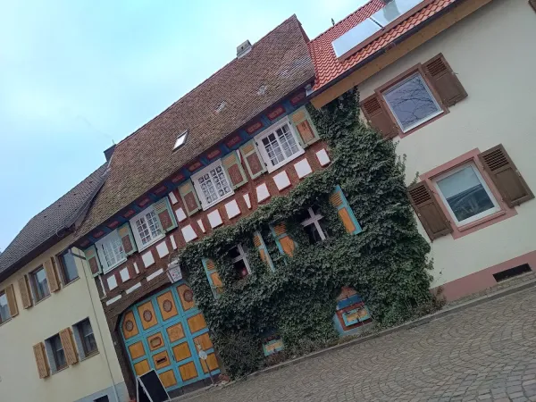 Bild von undefined
