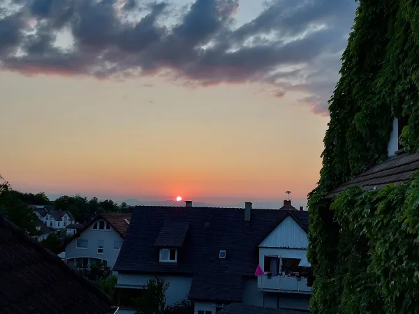 Bild von undefined